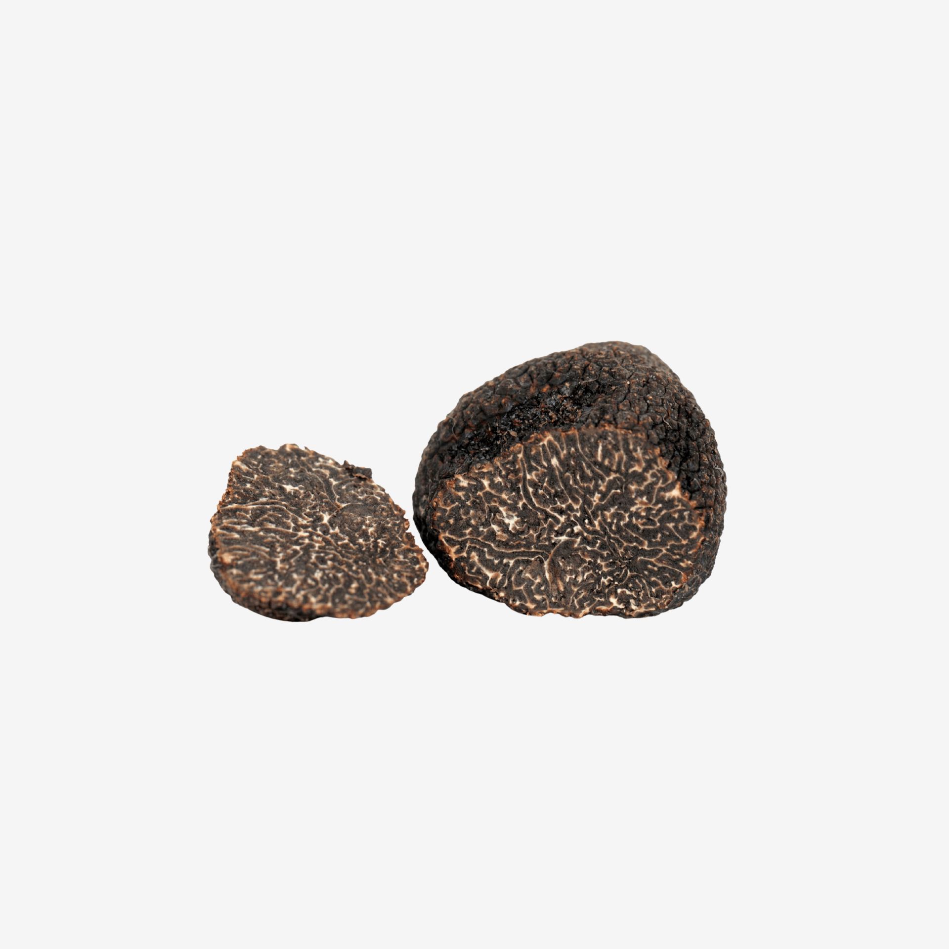 Norcia Black Truffle